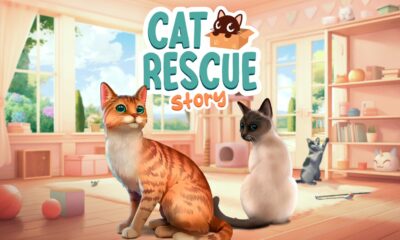 Cat Rescue Story