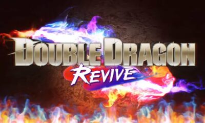 Double Dragon Revive