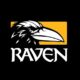 Raven Software